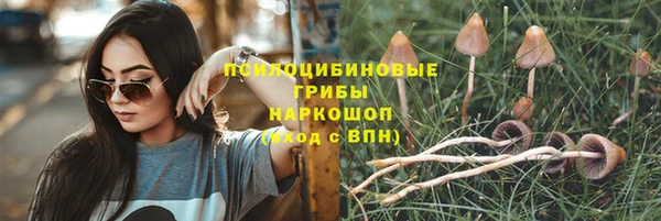 МДМА Горнозаводск