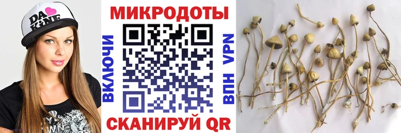 Галлюциногенные грибы Psilocybine cubensis  Купить  Ртищево 